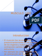 Musculo Liso