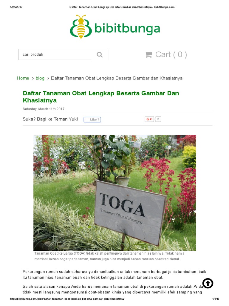 Daftar Tanaman Obat Lengkap Beserta Gambar Dan Khasiatnya Daftar Tanaman Obat Lengkap Beserta Gambar Dan Khasiatnya