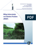 Milpa Intercalada con Árboles Frutales (MIAF) - www.FreeLibros.com.pdf