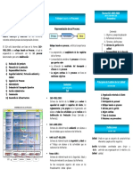 Triptico Sia 2009 PDF