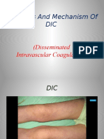 Disseminated Intravascular Coagulation