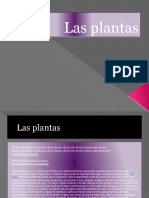 Las Plantas