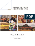 134839335-Minera-Sulliden-Shahuindo-S-A-C-Proyecto-Sahuindo-Resumen-Ejecutivo-Espanol.pdf