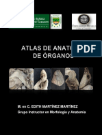 Atlas de Anatomia de Organos.pdf