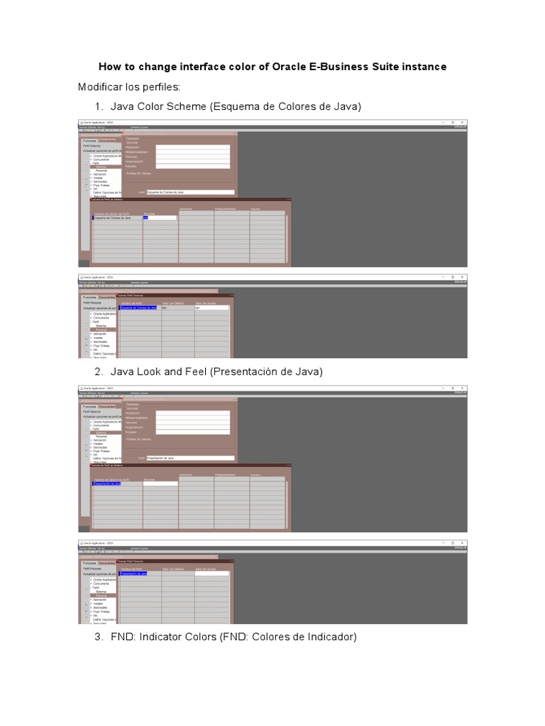 Change Oracle E-Business Suite Colors | PDF | Computers