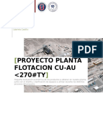 Proyecto Planta Cu AuFino 5