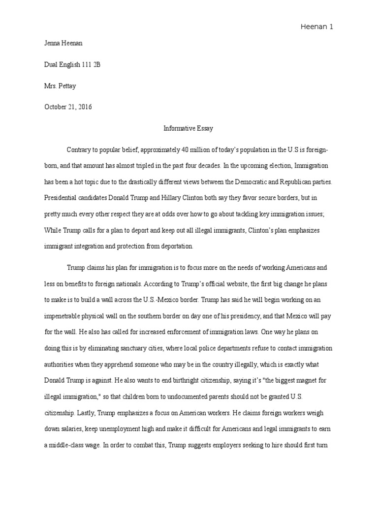 Immigration issues essay image