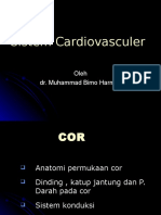 Anatomi Cor
