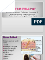 Pert 10 SISTEM PELIPUT (Kulit&Derivatnya)