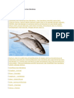 Download Klasifikasi dan Morfologi Ikan Bandengdocx by Nurul Fatimah SN349365570 doc pdf
