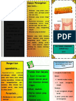 Leaflet Apendik PDF