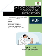 Practica 2 El Microscopio