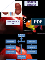 SISTEM EKRESI DAN OSMOREGULASI