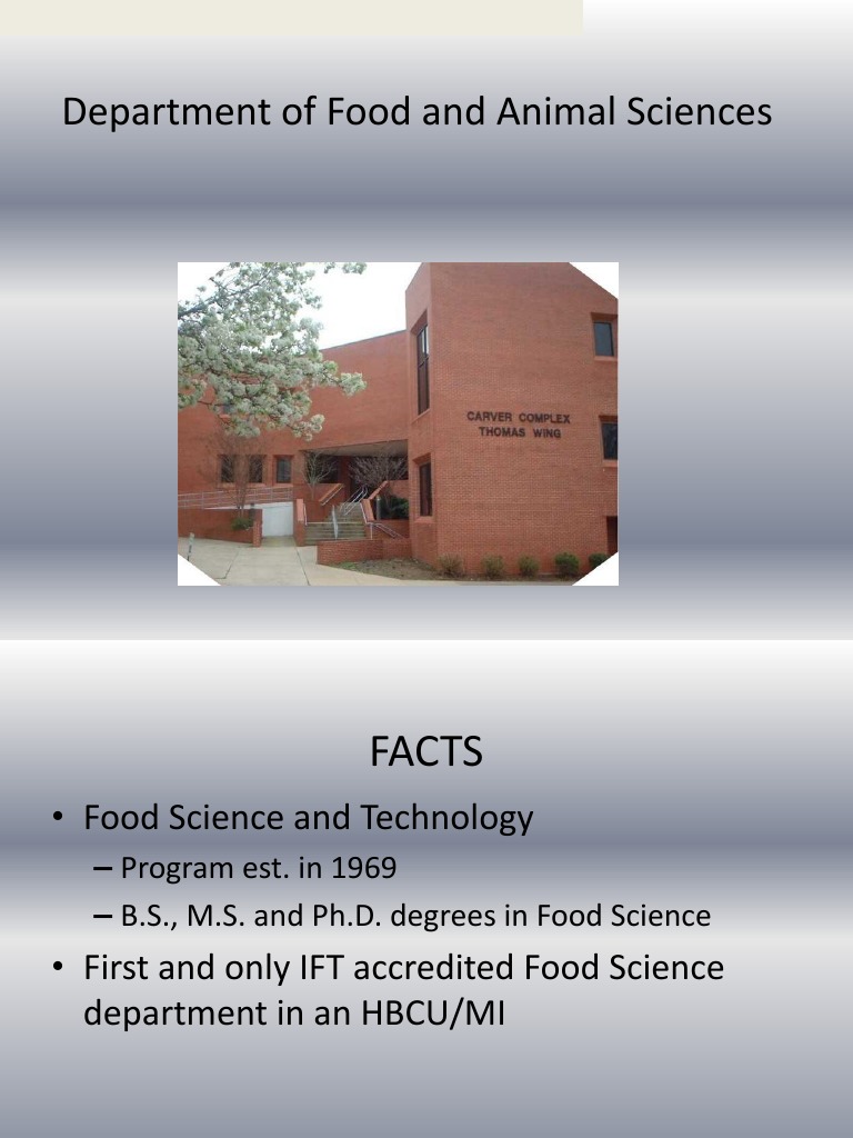 Takenmind internship assignments picture