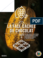 Etude Cacao Synthèse