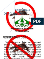 DEMAM BERDARAH DENGUE