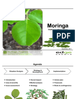 Moringa PDF