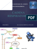 Bioca Cadena Respiratoria