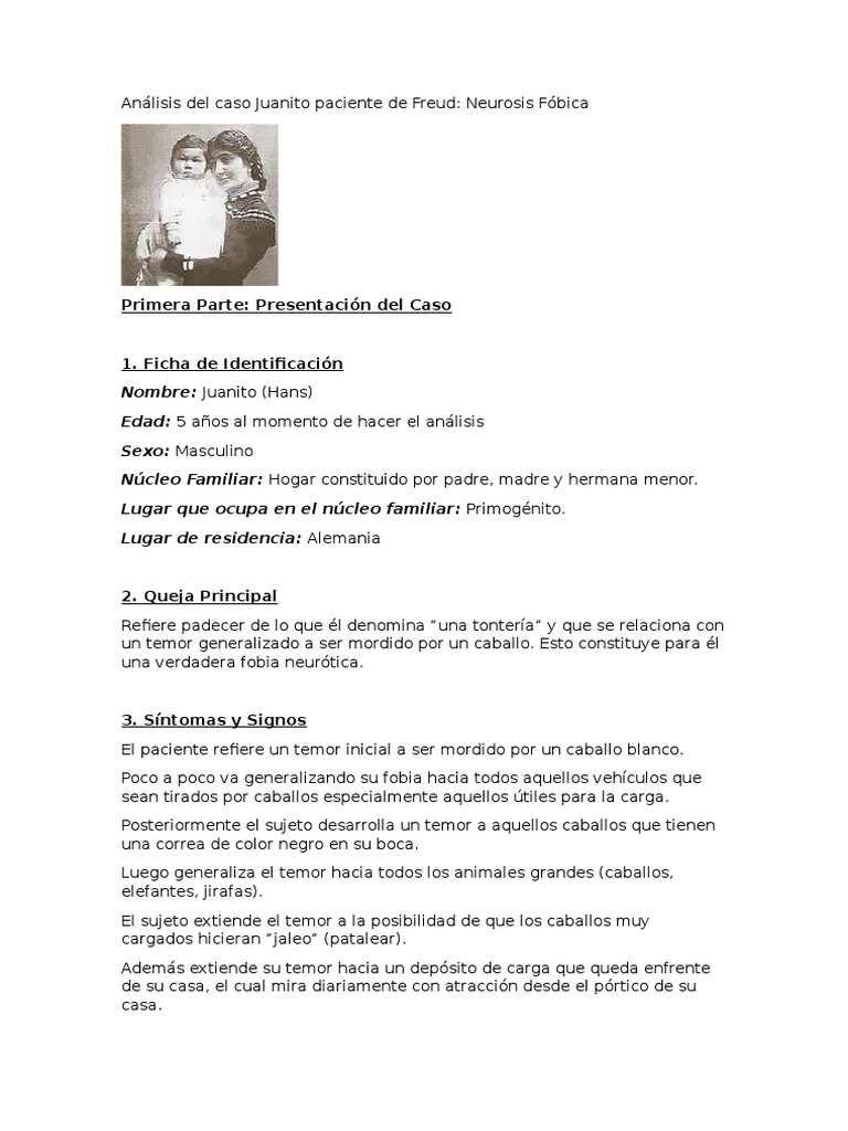 Análisis del Caso Juanito de Freud | PDF | Fobia | Sigmund Freud