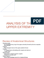 Analysis of Superior Exstrimity