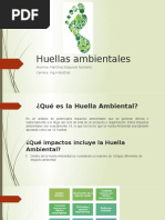 Huellas ambientales