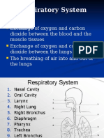 As Mechanics of Breathing