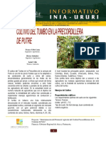 2 Tumbos-Cultivo PDF