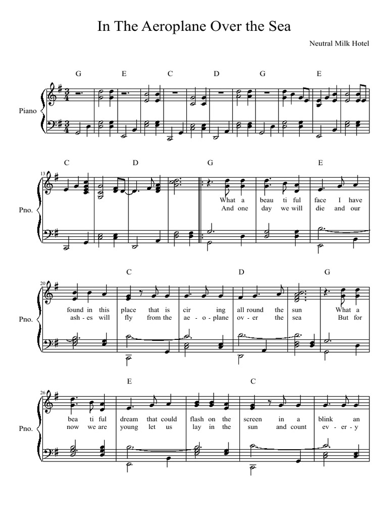 In The Aeroplane Over The Sea PDF PDF Leisure