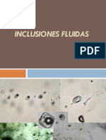 3 1 Inclusiones Fluidas PDF