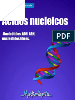 Ácidos Nucleicos PDF
