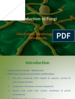 Introduction To Fungi
