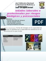 Enfermedades Laborales.pptx