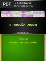 Aula 01 - Introdução