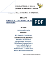 339989035-Ensayo-de-Los-Cuidados-Culturales-Leininger-1-1-1.docx