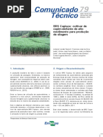 Comunicado Tecnico 79