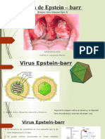 Virus de Epstein – Barr