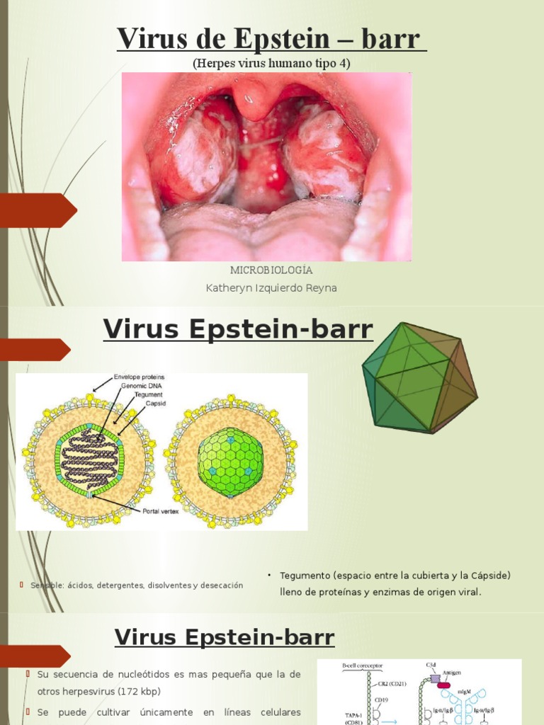 Virus de Epstein Barr PDF Virus Infección