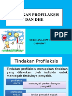 2. Profilaksis dan DHE.pptx