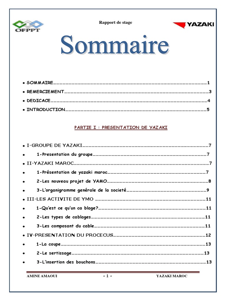 Rapport de Stage Amine  Entretien  Management de la qualité