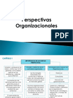 Perspectivas Organizacionales