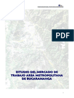 EstudioBucaramangayAM2008.pdf