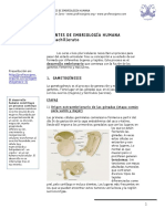 embriologc3ada-humana.pdf