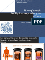 Fisiología renal