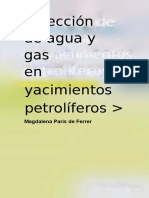  Inyeccion de Agua y Gas en Yacimientos Petroliferos Magdalena Ferrer