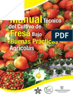 manual del cultivo de fresa.pdf