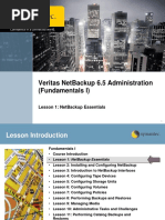 Veritas Netbackup 6.5 Administration (Fundamentals I)