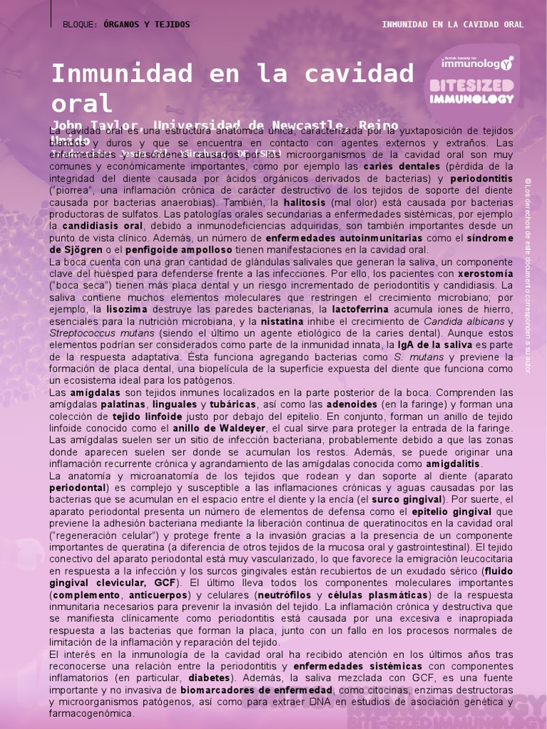 Immunity in The Oral Cavity (Inmunidad en La Cavidad Oral) | PDF ...