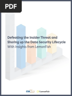 Defeating Insider Threat Survey