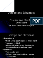 VertigoandDizziness 2