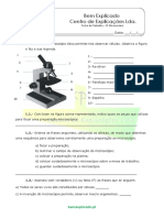 3.1 a Célula Unidade Na Constituição Dos Seres Vivos O Microscópio Ficha de Trabalho 1